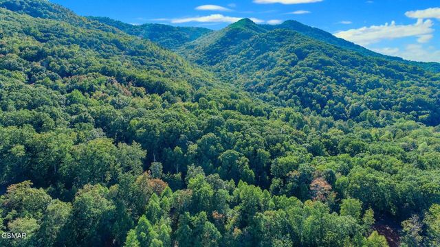 151 Delicious Way, Newport, TN 37821