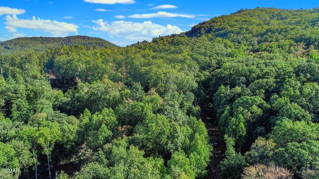 151 Delicious Way, Newport, TN 37821