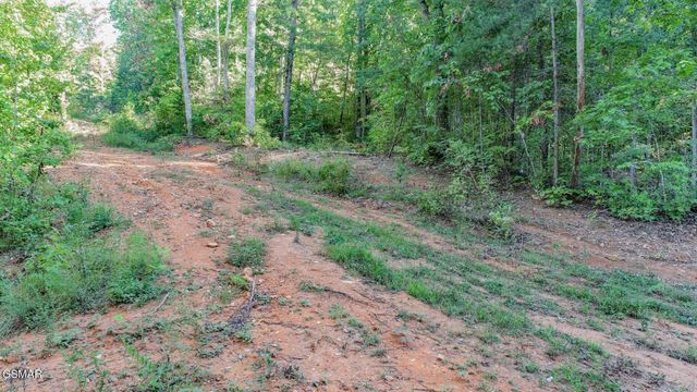 151 Delicious Way, Newport, TN 37821