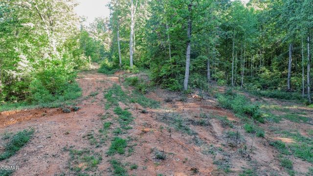 151 Delicious Way, Newport, TN 37821