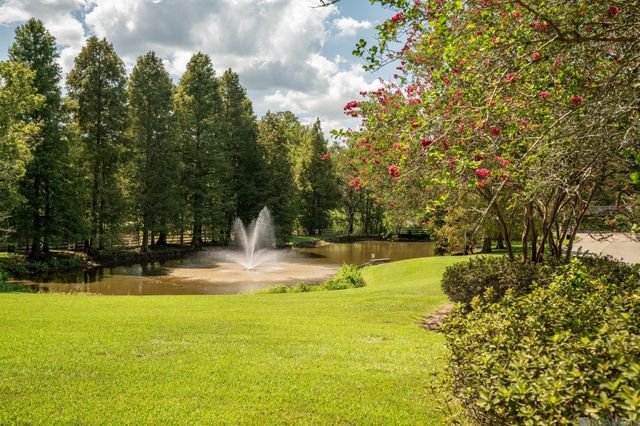 38168 Springwood Ave, Prairieville, LA 70769
