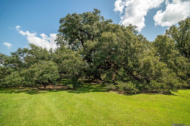 38168 Springwood Ave, Prairieville, LA 70769