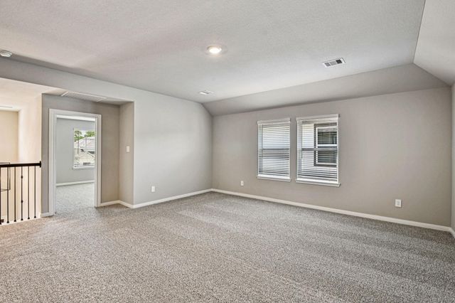 17302 Teddy Trace Drive, Waller, TX 77484