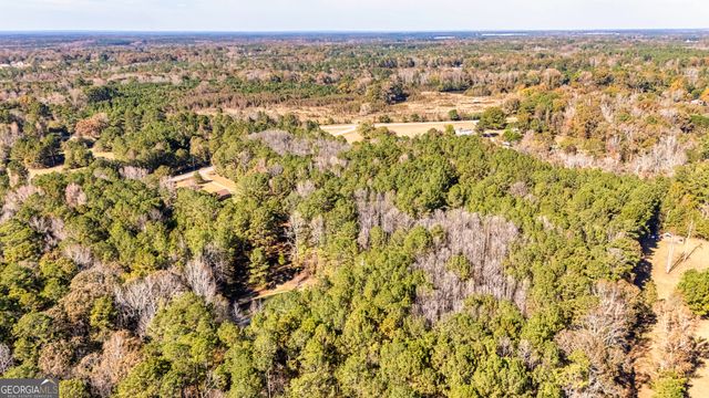 276 Lee Thompson Road, Moreland, GA 30259