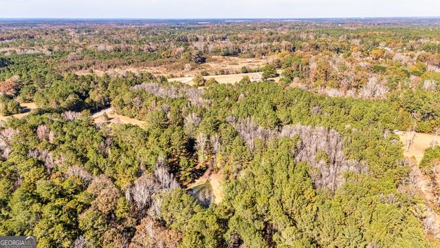 276 Lee Thompson Road, Moreland, GA 30259