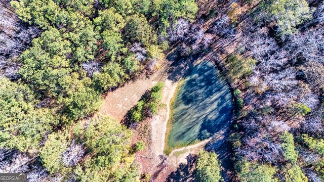 276 Lee Thompson Road, Moreland, GA 30259