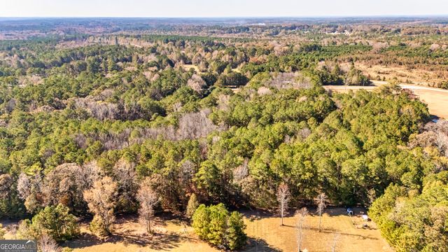 276 Lee Thompson Road, Moreland, GA 30259