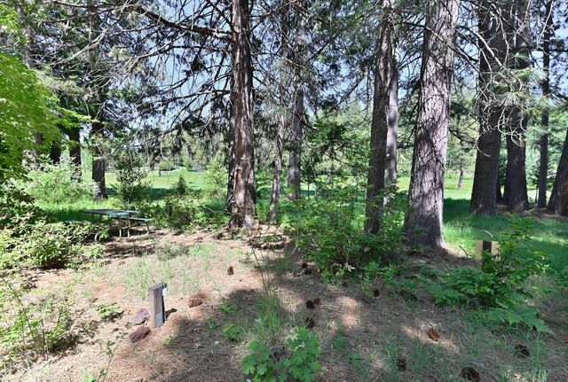 1801 Pine Dr, Arnold, CA 95223