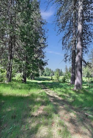 1801 Pine Dr, Arnold, CA 95223