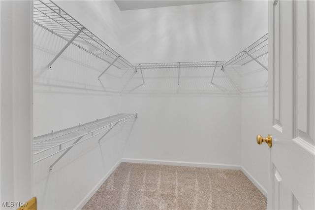 24 Hunters Woods Boulevard D, Canfield, OH 44406