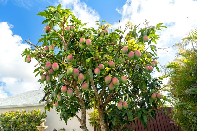 22359 Sea Bass Drive, Boca Raton, FL 33428