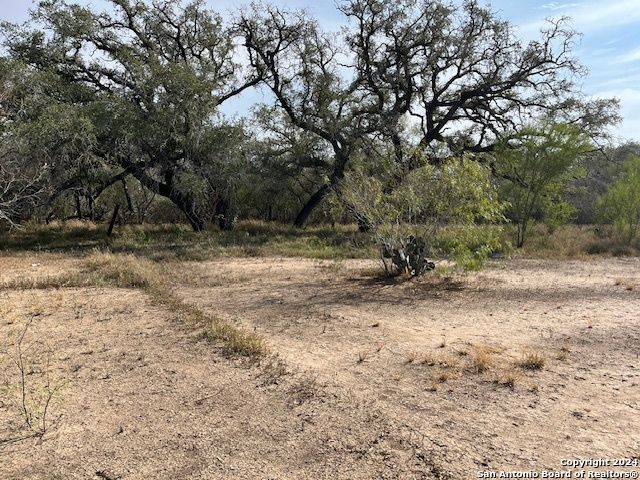 TBD Pr B324, Jourdanton, TX 78064
