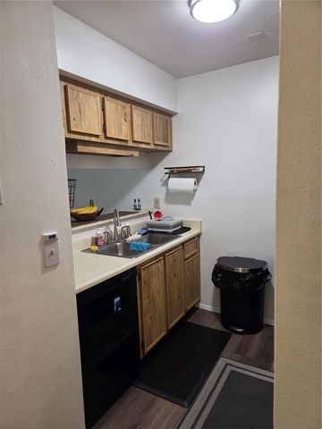 4033 DREAM OAK PLACE 203, Tampa, FL 33613