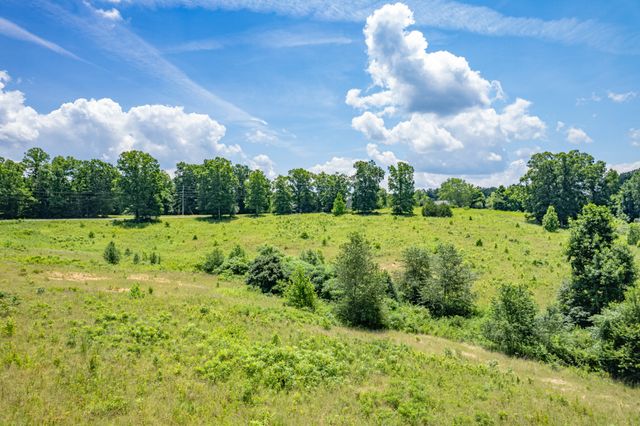 0 Mobley Ridge Rd, Duck River, TN 38454