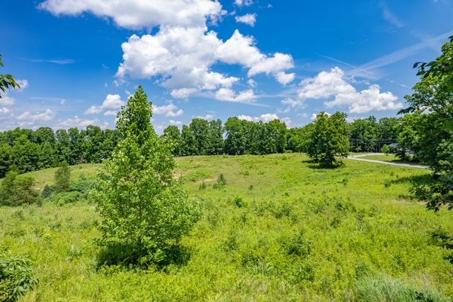 0 Mobley Ridge Rd, Duck River, TN 38454