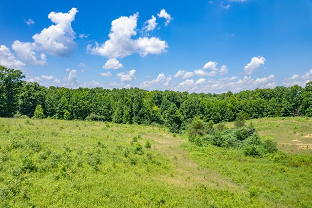0 Mobley Ridge Rd, Duck River, TN 38454