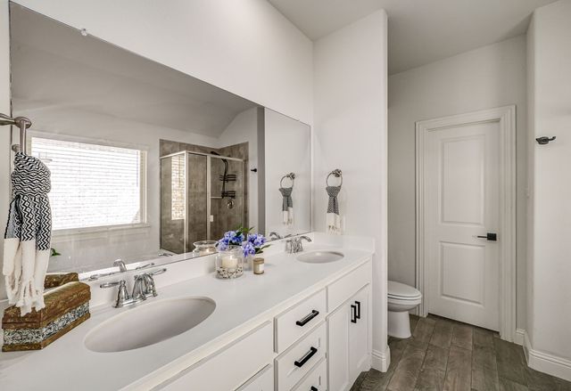 1528 Grassy Knoll Trail, Little Elm, TX 76227