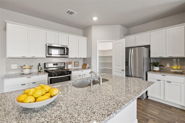 173 Frostweed DR, Kyle, TX 78640