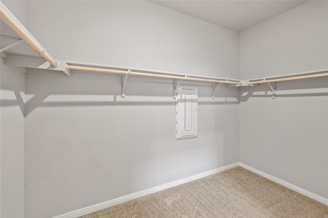173 Frostweed DR, Kyle, TX 78640