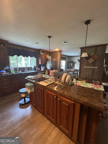 92 Graham Lane, Claxton, GA 30417