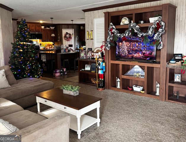 92 Graham Lane, Claxton, GA 30417