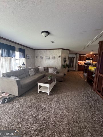 92 Graham Lane, Claxton, GA 30417