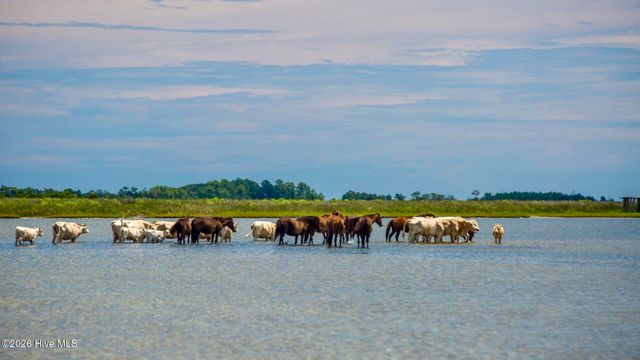 2976 Cedar Island Road, Cedar Island, NC 28520