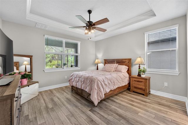 19474 SHIP WHEEL WAY, Land O Lakes, FL 34638