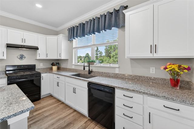 19474 SHIP WHEEL WAY, Land O Lakes, FL 34638