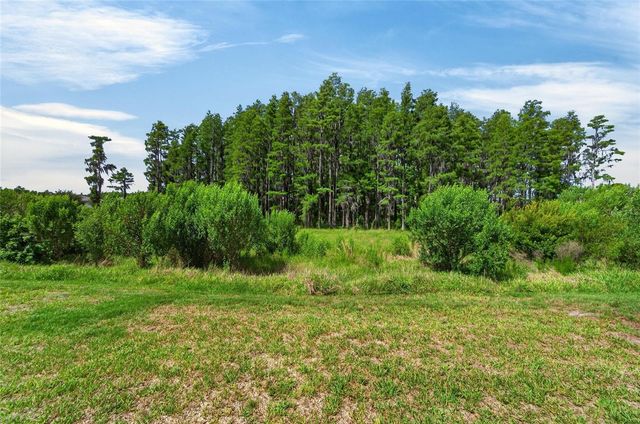 19474 SHIP WHEEL WAY, Land O Lakes, FL 34638