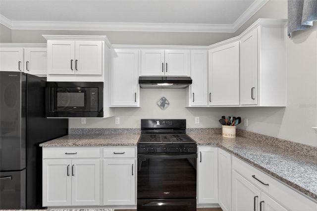 19474 SHIP WHEEL WAY, Land O Lakes, FL 34638