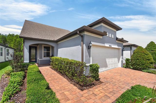 19474 SHIP WHEEL WAY, Land O Lakes, FL 34638