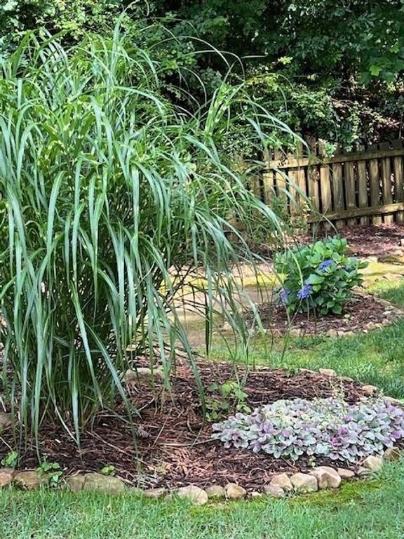 Image 38 of property listing at 2915 Brookwater Drive, Cumming, GA 30041