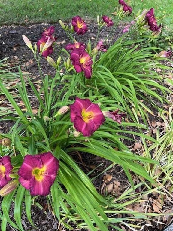 Image 39 of property listing at 2915 Brookwater Drive, Cumming, GA 30041