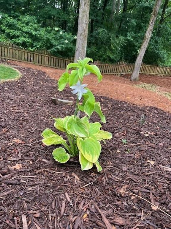 Image 42 of property listing at 2915 Brookwater Drive, Cumming, GA 30041