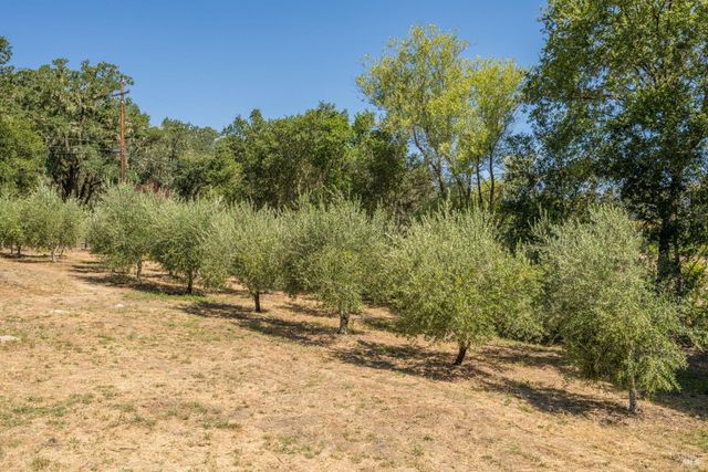 14856 Chalk Hill Rd, Healdsburg, CA 95448