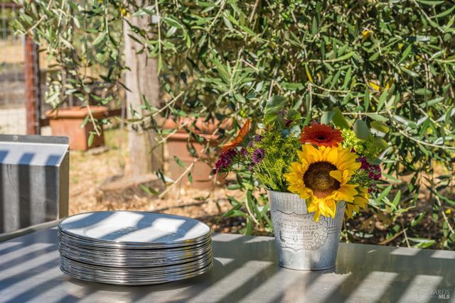 14856 Chalk Hill Rd, Healdsburg, CA 95448