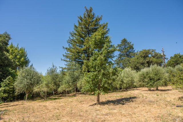 14856 Chalk Hill Rd, Healdsburg, CA 95448
