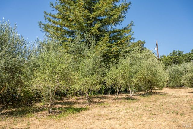 14856 Chalk Hill Rd, Healdsburg, CA 95448