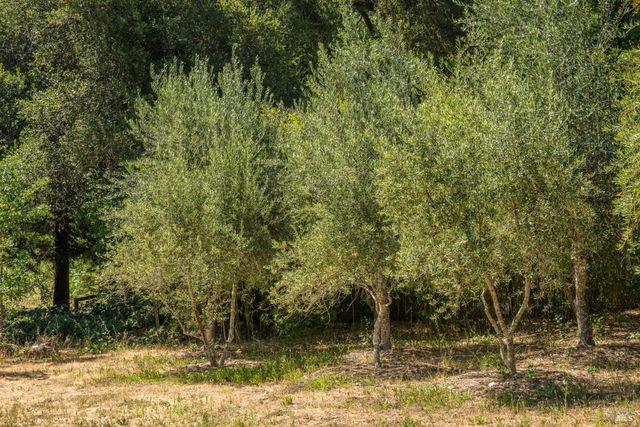 14856 Chalk Hill Rd, Healdsburg, CA 95448