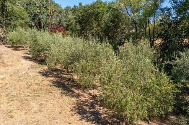 14856 Chalk Hill Rd, Healdsburg, CA 95448
