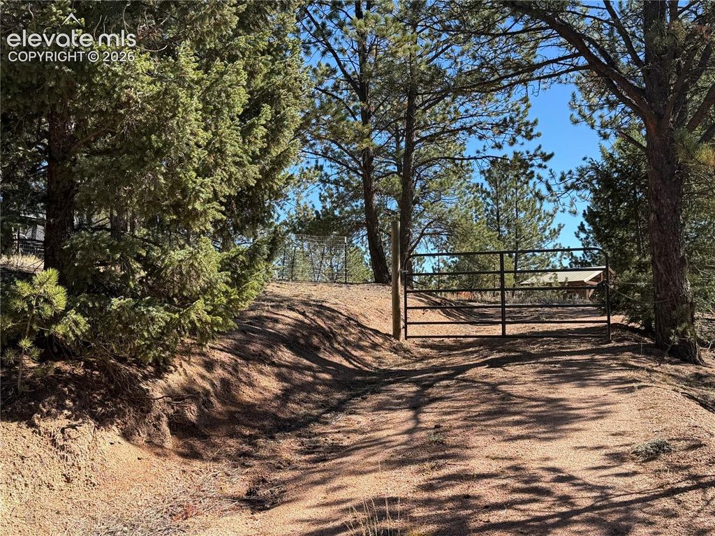 36 Miller Creek Road, Divide, CO 80814 — photo 2