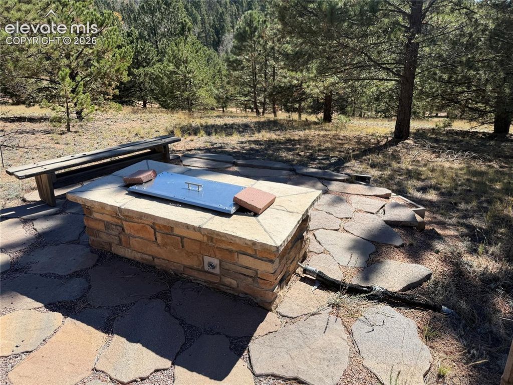 36 Miller Creek Road, Divide, CO 80814 — photo 3