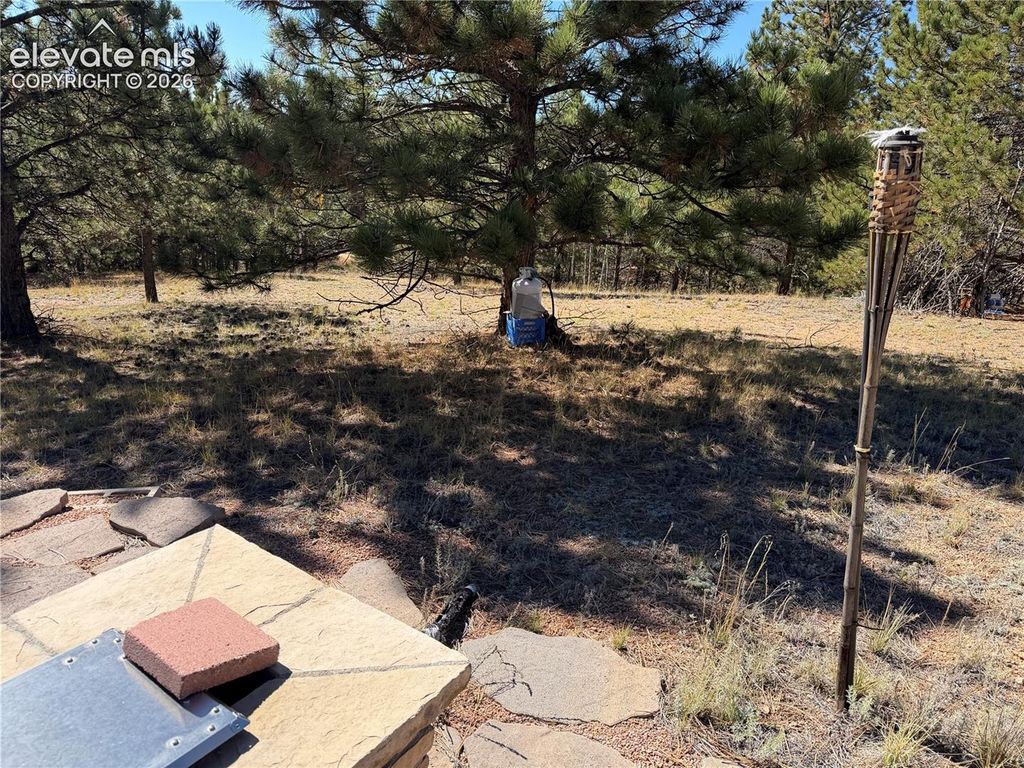 36 Miller Creek Road, Divide, CO 80814 — photo 5