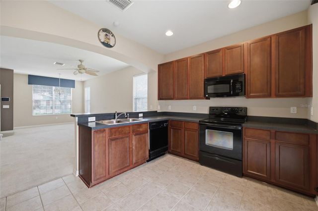 6924 TOWERING SPRUCE DRIVE, Riverview, FL 33578