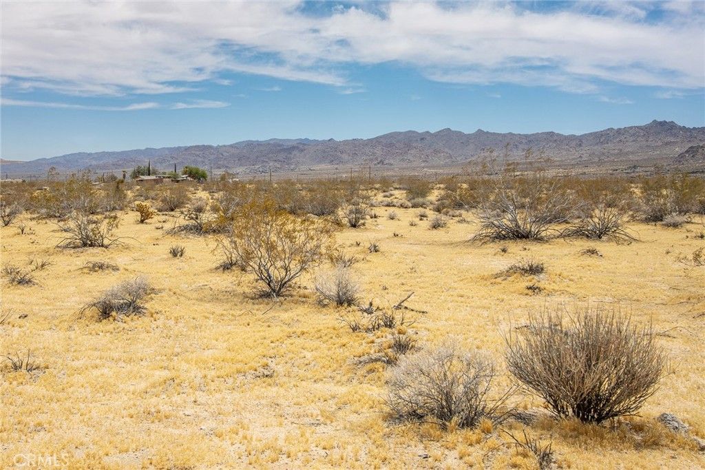 Image 10 of property listing at 5589 Sutton Avenue, Joshua Tree, CA 92252