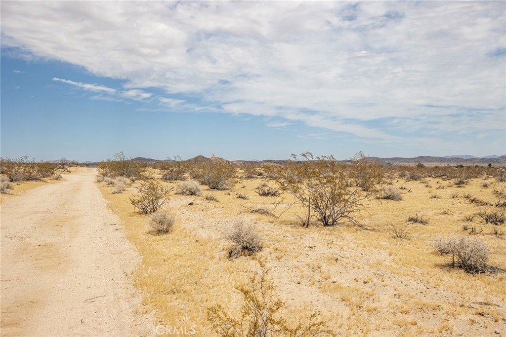 Image 12 of property listing at 5589 Sutton Avenue, Joshua Tree, CA 92252