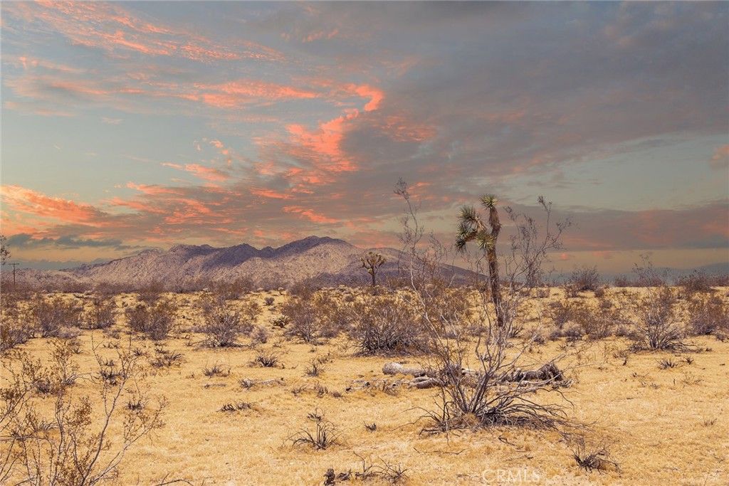 Image 3 of property listing at 5589 Sutton Avenue, Joshua Tree, CA 92252