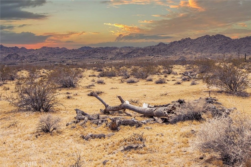 Image 4 of property listing at 5589 Sutton Avenue, Joshua Tree, CA 92252