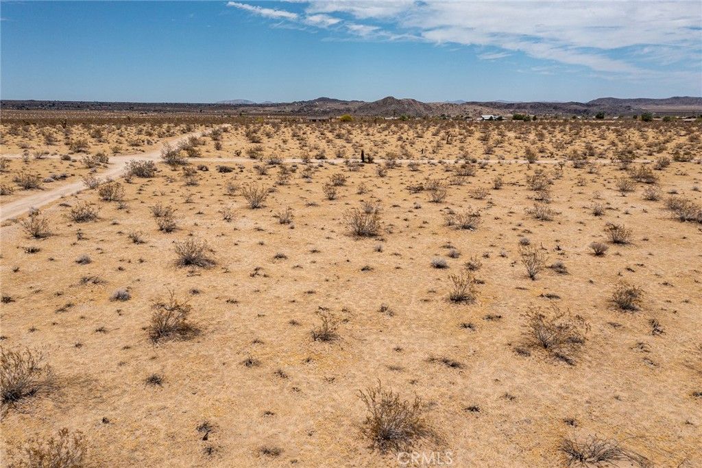Image 6 of property listing at 5589 Sutton Avenue, Joshua Tree, CA 92252
